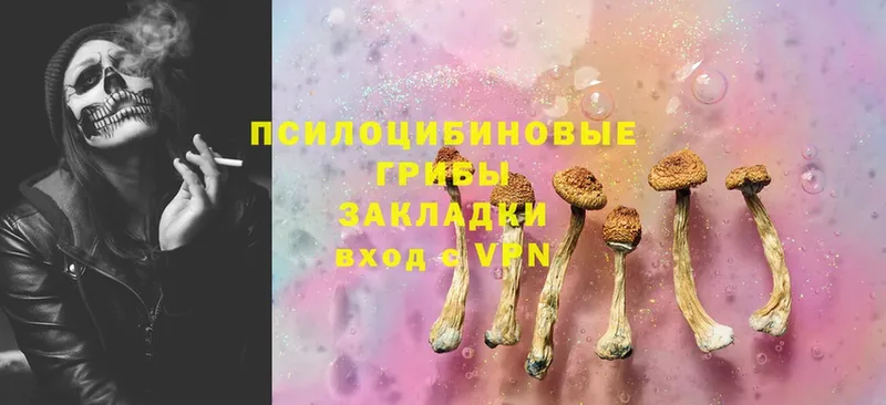 Галлюциногенные грибы MAGIC MUSHROOMS  MEGA зеркало  Билибино 